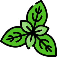 Basil