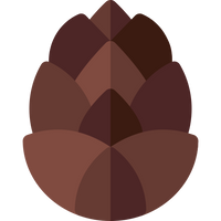 Cedar