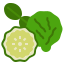 Bergamot
