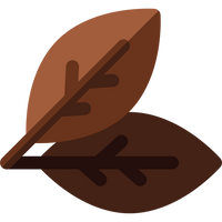 Tobacco